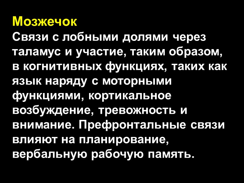 Мозжечок Связи с лобными долями через таламус и участие, таким образом, в когнитивных функциях,